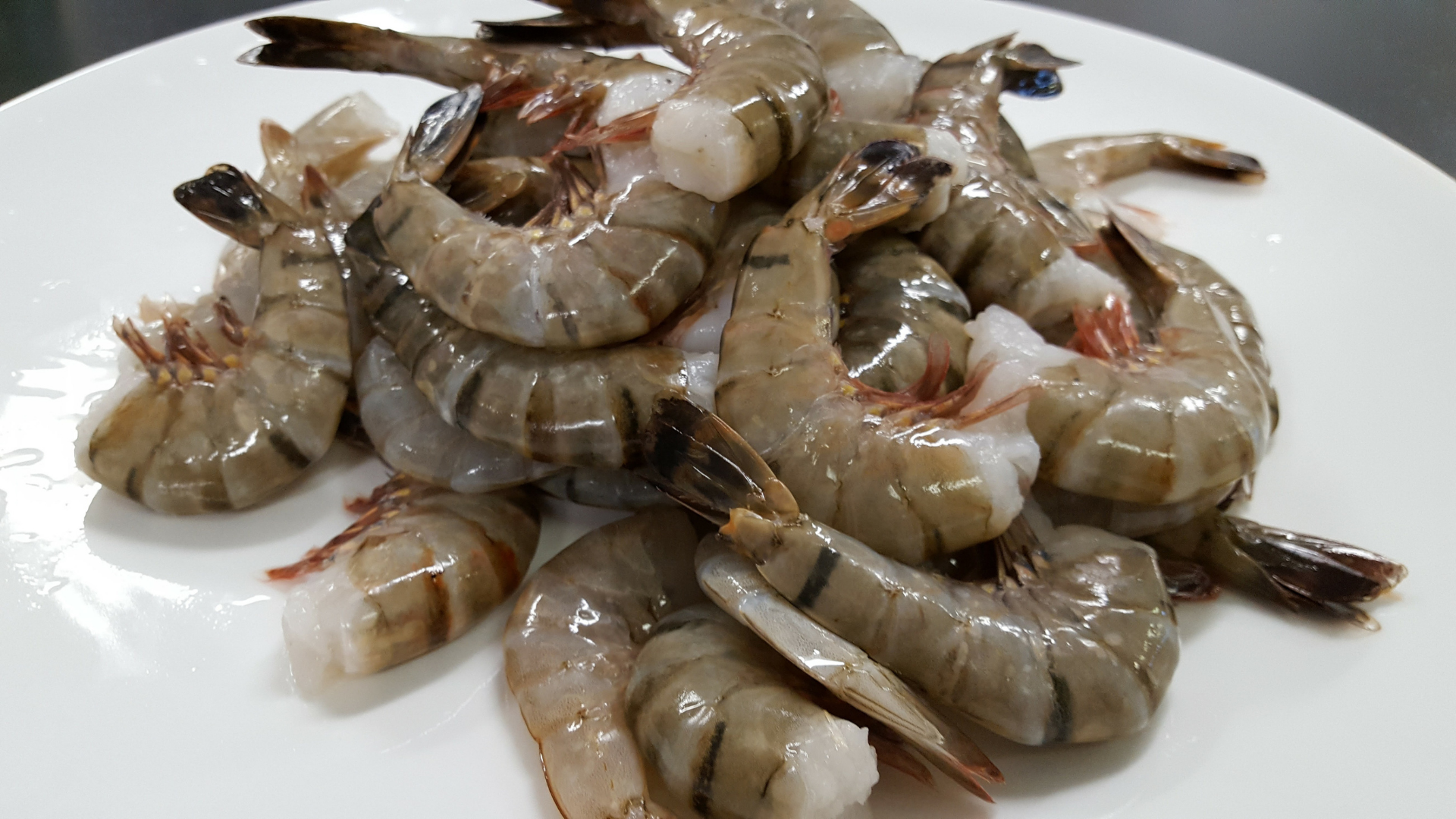 shrimp king size : head less 02